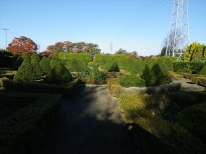 10/23　西洋庭園